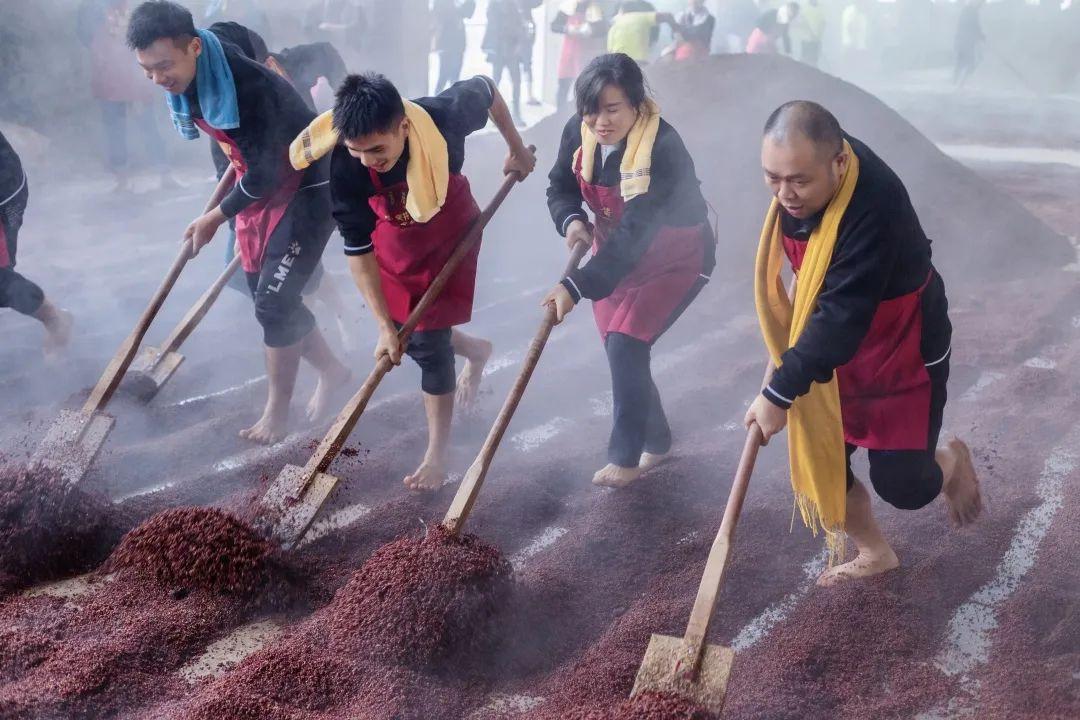 舍井小课堂 | 酱酒工艺中的"下沙"和"糙沙"有什么区别?