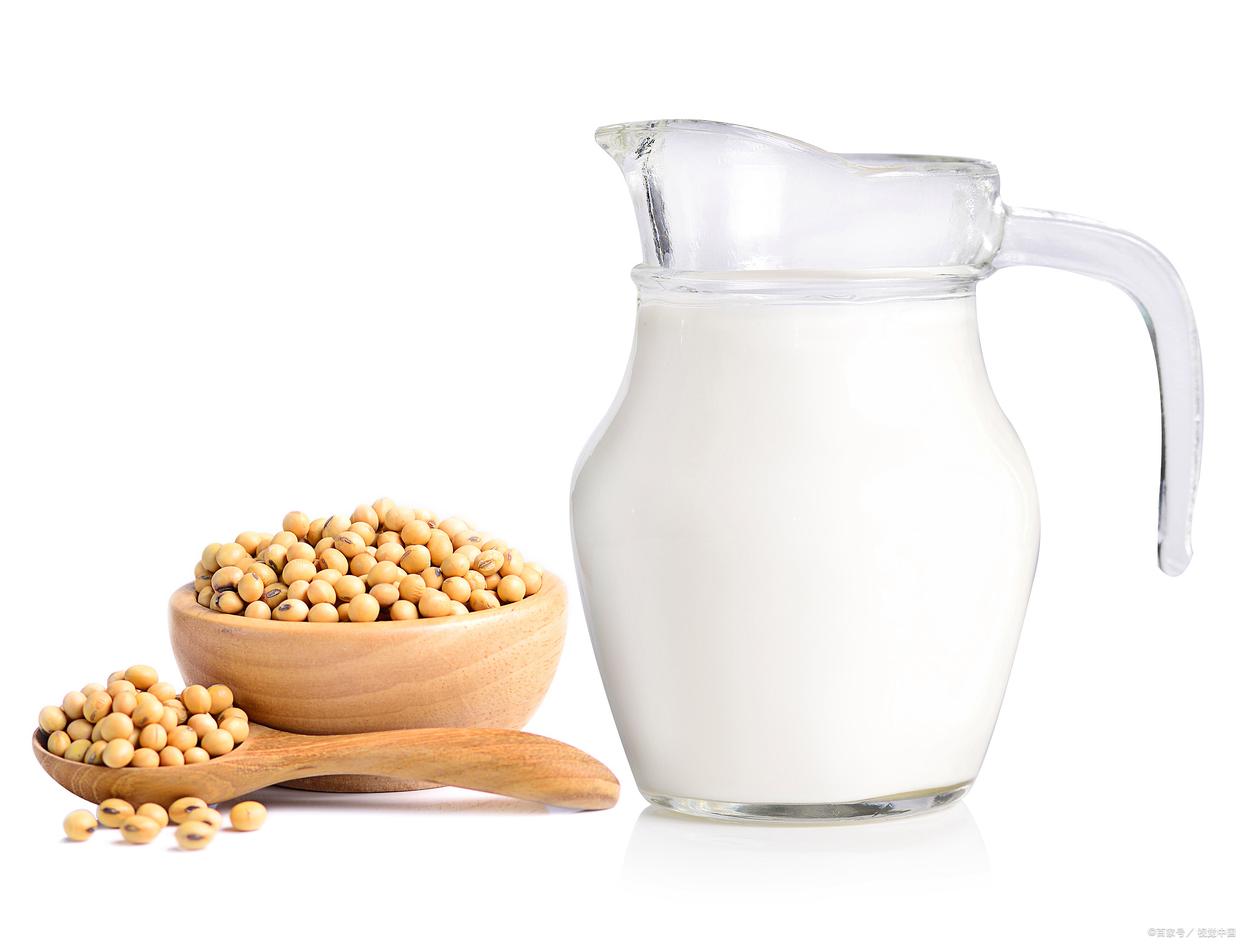 探索豆奶的美食世界:多样口感与健康选择_豆类_味道_奶制品