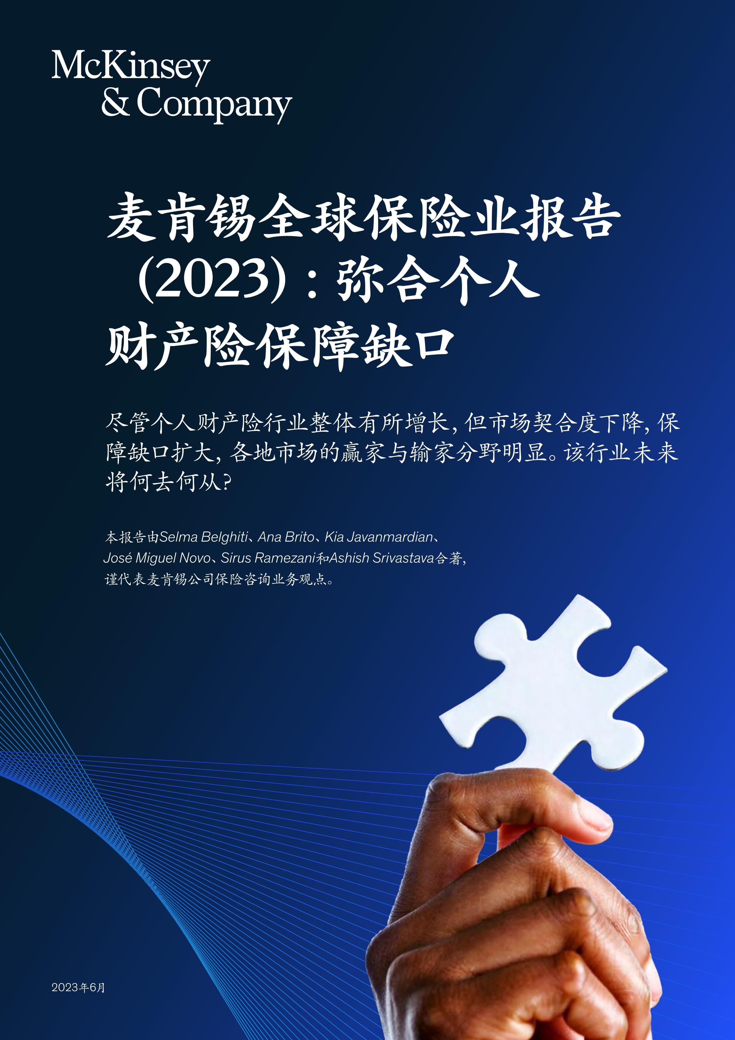 麦肯锡全球保险业报告（2023）：弥合个人财产与意外险保障缺口 