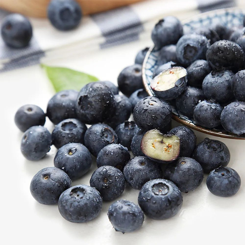 "长白山蓝莓"出山记:本来生活的初心,乡村产业振兴的号角_靖宇县_种植