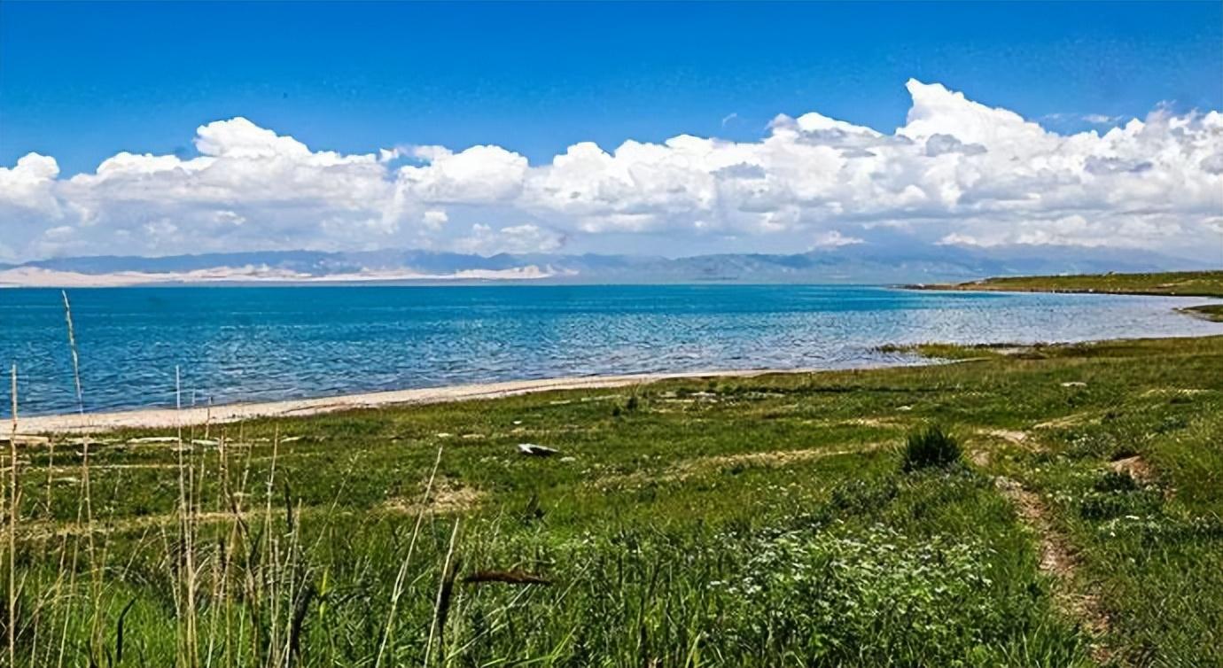 青海湖是中国最大咸水湖,如果有海洋鱼类,游客能放生青海湖里吗_动物