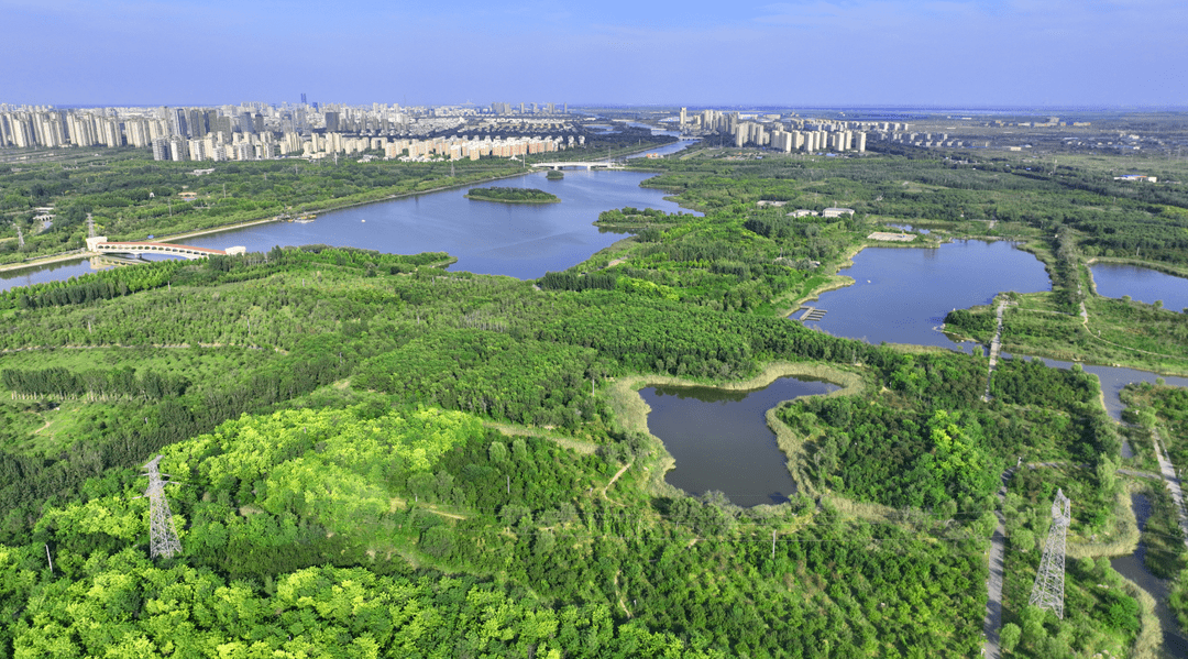 东营燕山路公园图片