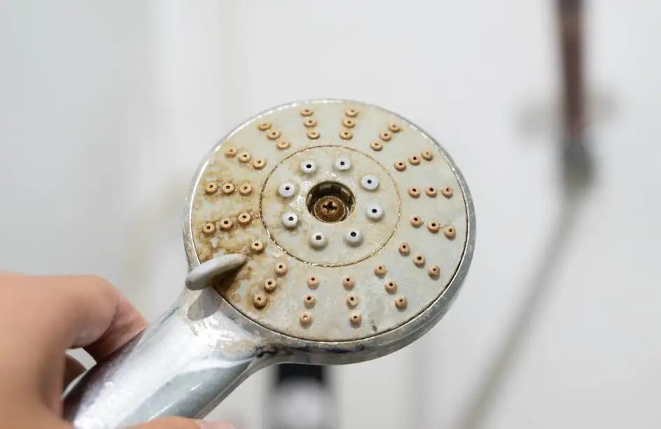 垢干净 | 花洒总是被水垢堵住?洗澡越洗越脏!_除垢_保障_用水