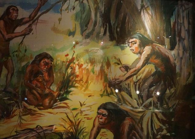 曾有一动物以人类祖先为食,其后代却沦为宠物_进化_古猿_食物