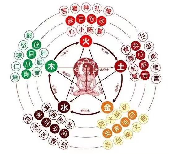 五旺(时旭望)谈五行之间关系详解_生者_事物_的作用