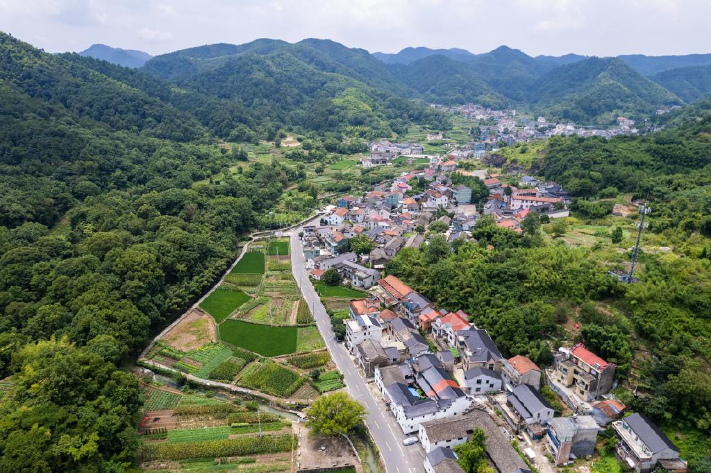 莫负盛夏好时光,诸暨五泄二日游_荷花_文化_风景区