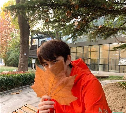 吴磊分享校园日常照片,笑容明亮青春气息满满_弟弟_落叶_时候