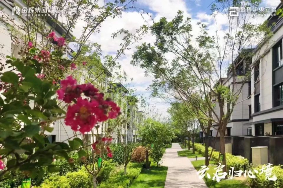 践行“温暖 让美好发生”，金辉物业焕新行动进行时