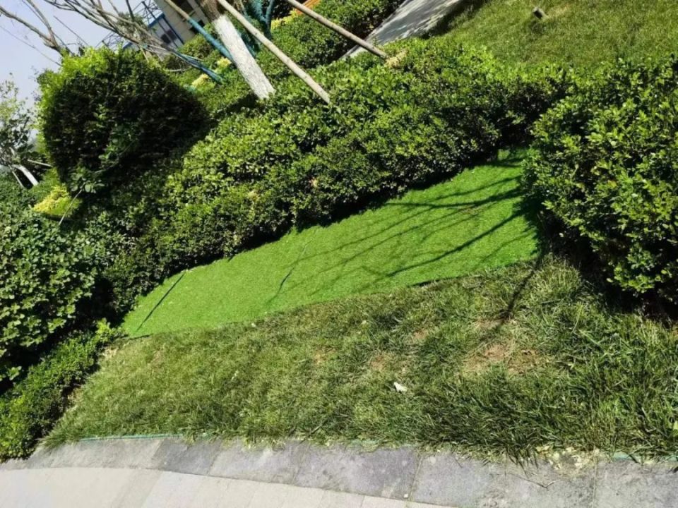 践行“温暖 让美好发生”，金辉物业焕新行动进行时