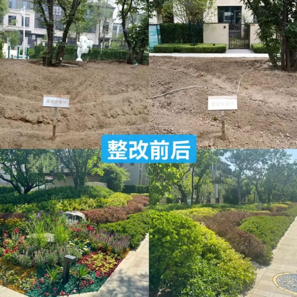 践行“温暖 让美好发生”，金辉物业焕新行动进行时