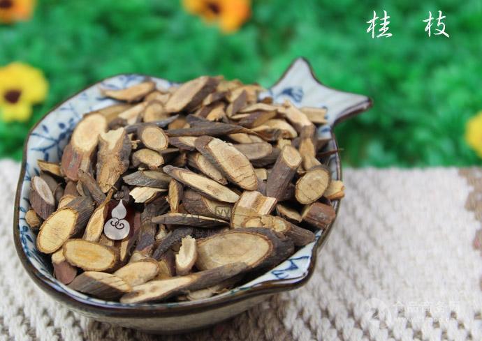 桂枝是什么 来自搜狐网