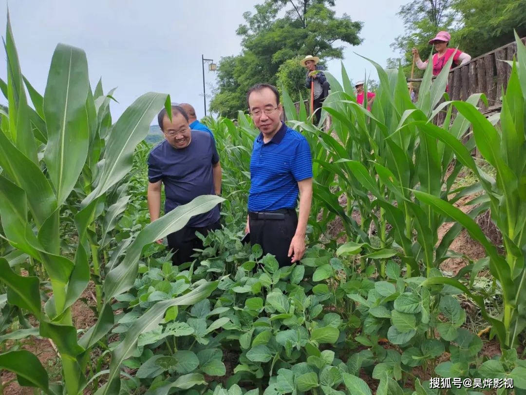 周晓东在古县,安泽县调研粮食生产及水产资源保护工作_农业_大豆_防灾