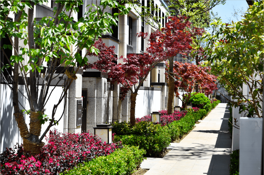 苏州【国瑞 · 熙墅】售楼处电话—地址—售楼中心24h电话—楼盘解析