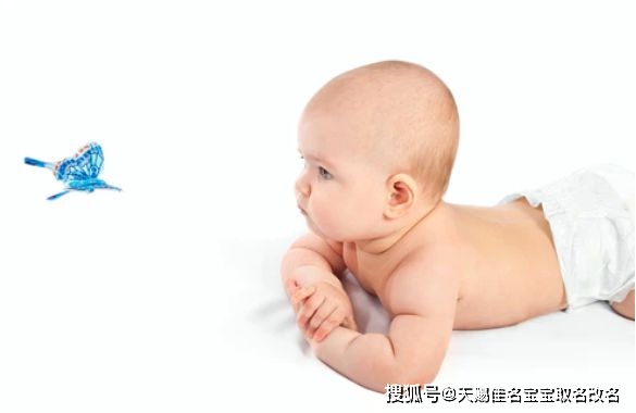 兔年新生兒取名:聰穎睿智的男孩名字精選 兔年新生兒取名:聰穎睿智的男孩名字精選