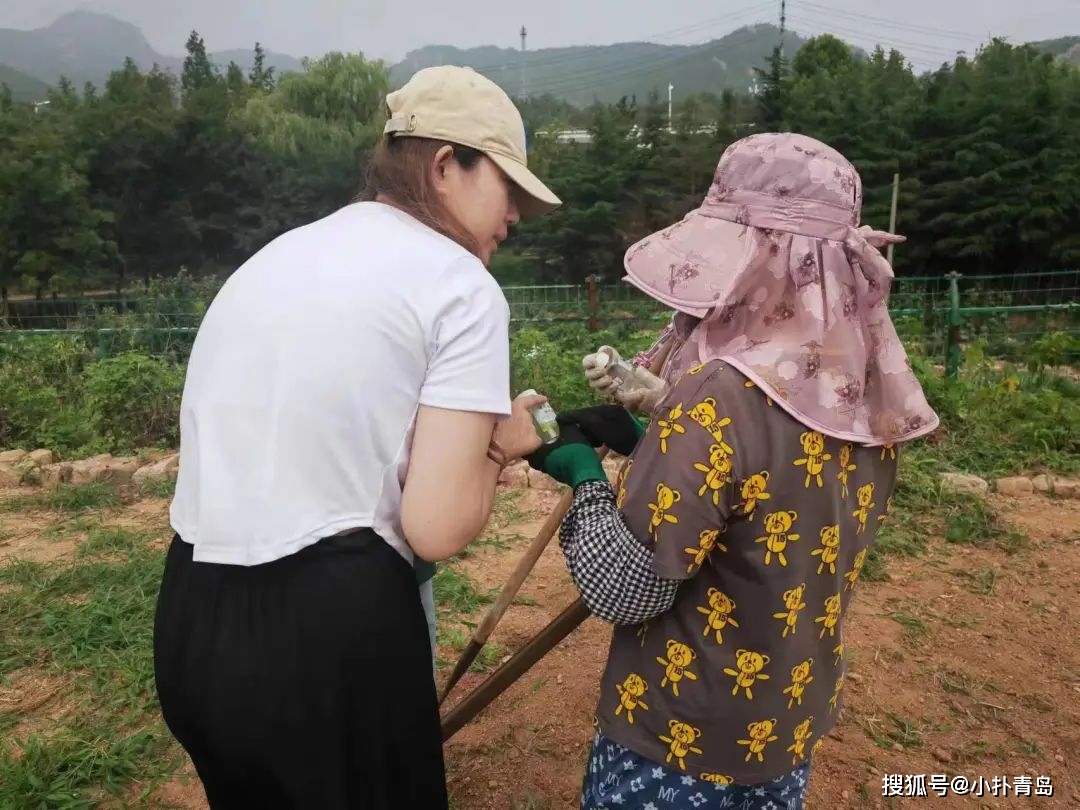 大兴调研之风 青岛崂山区北宅街道开展实践调研活动_青年_农户_乡村