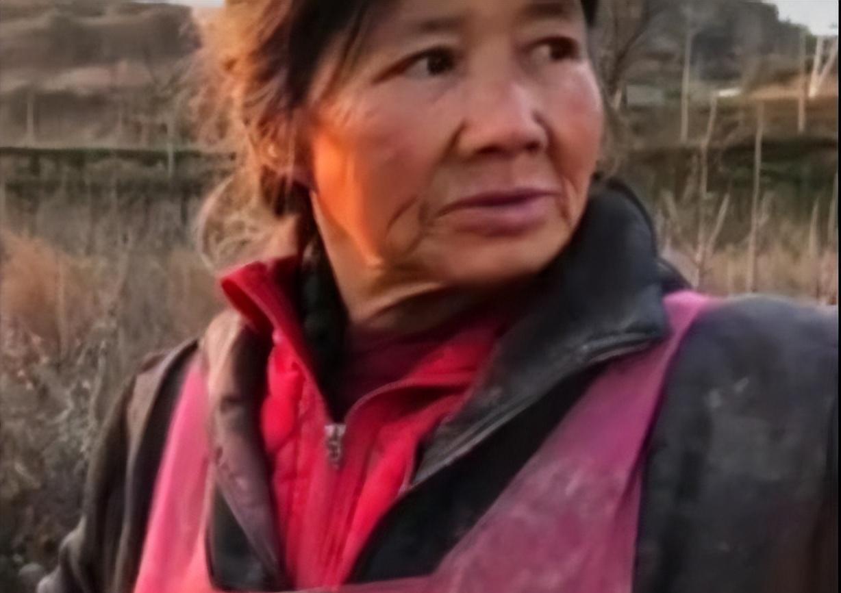 张素英:花5年时间用垃圾盖起一座城堡,最后结局却令她绝望_房子_小为