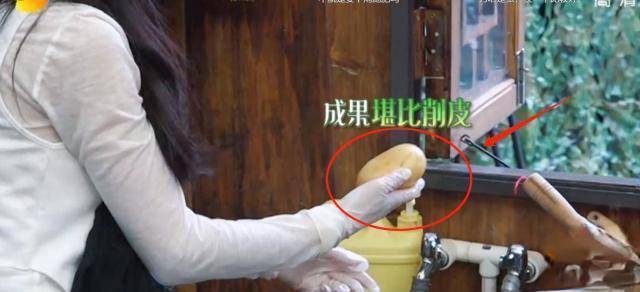 《向往3》张柏芝洗土豆不削皮这算"洁癖"?