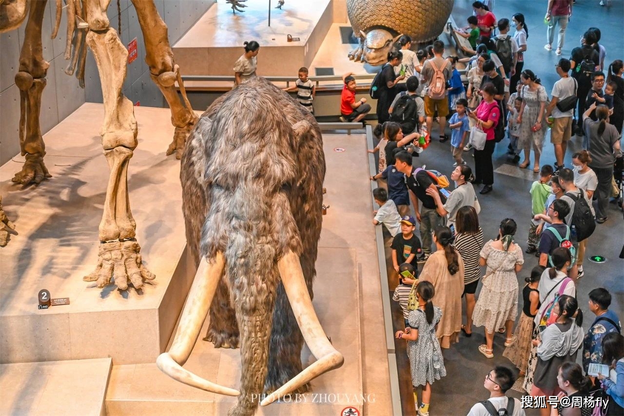 上海自然博物馆，亲子游必去的打卡点，低于7天根本约不到门票