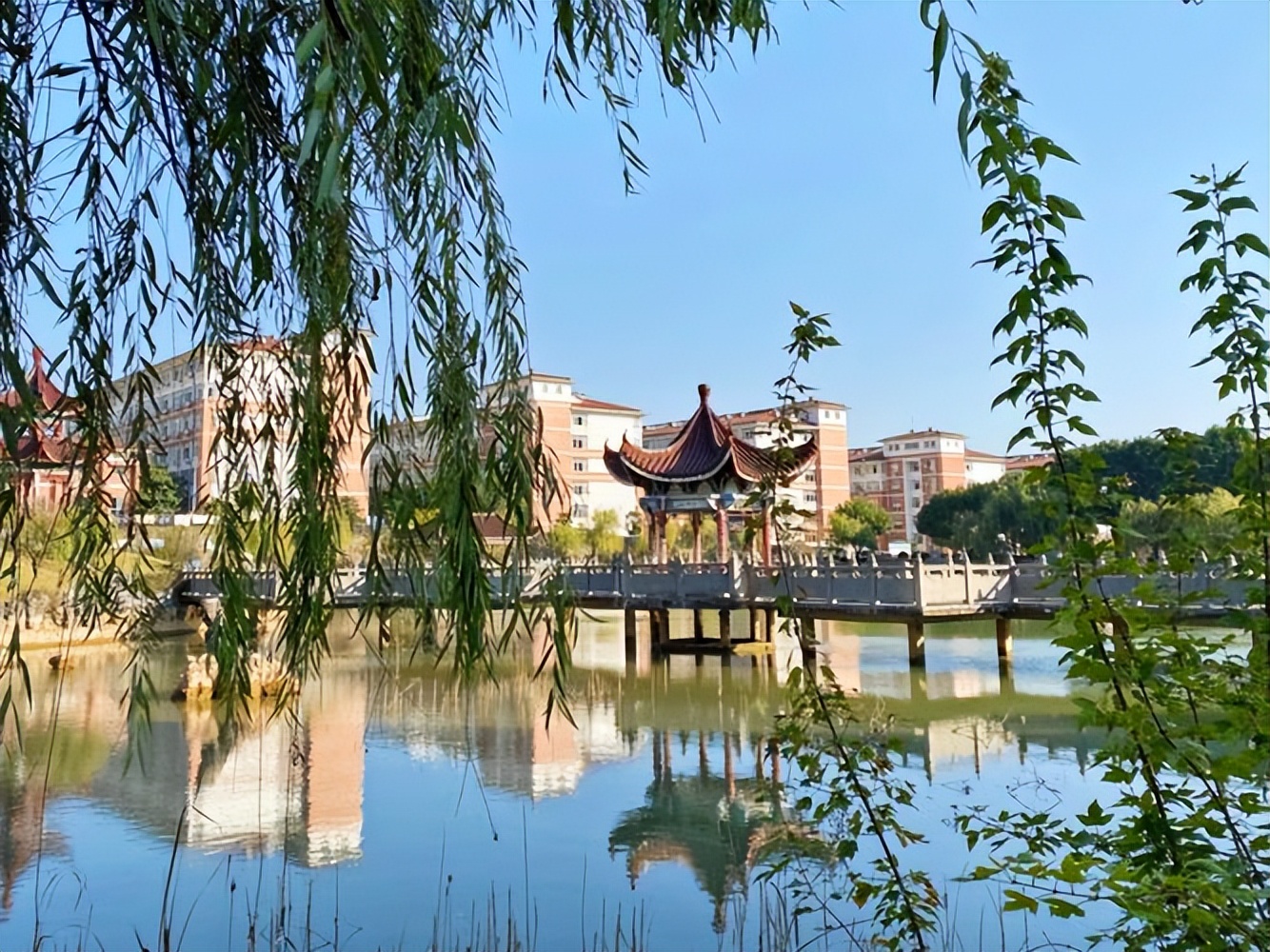 巢湖学院 风景图片