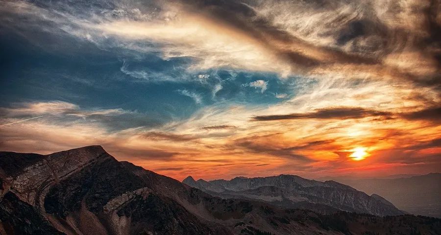 家电业最缺高性价比和高品质产品-家电圈官网