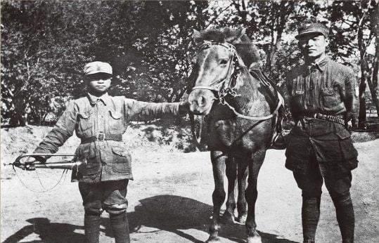 彭雪枫将军然而,非常吊诡的是,此时的日军突然停止了对国军的进攻