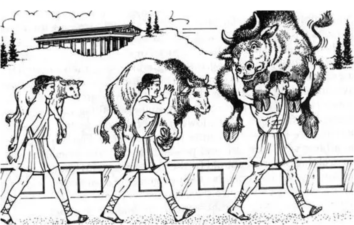 人的肌肉量大，到底有什么好处？_搜狐网