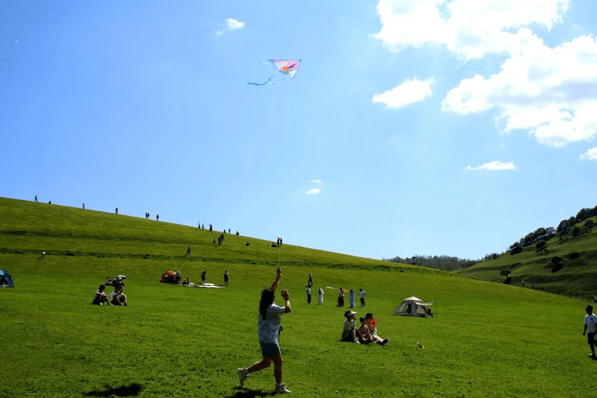 隴縣關山草原舉辦