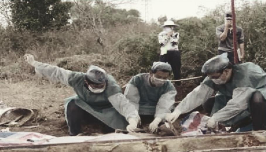 1994年千岛湖大案:24名台胞离奇"消失,首席法医揭开