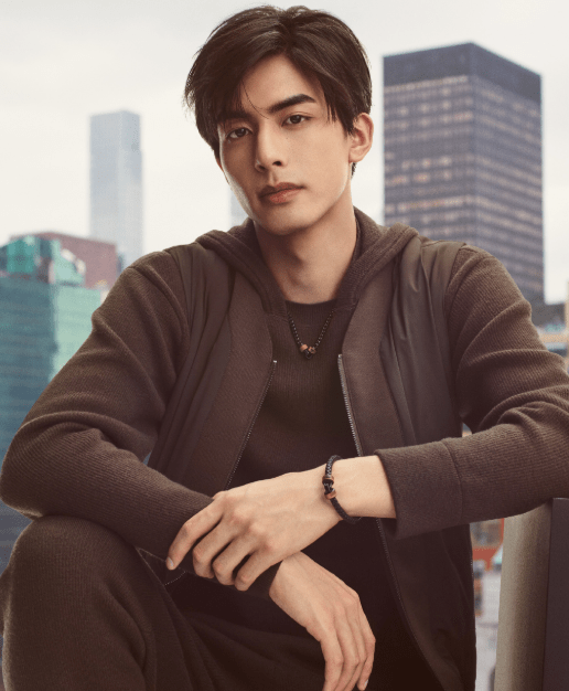 宋威龙才是95生颜值和实绩top!到底什么原因,让于正不愿捧他?