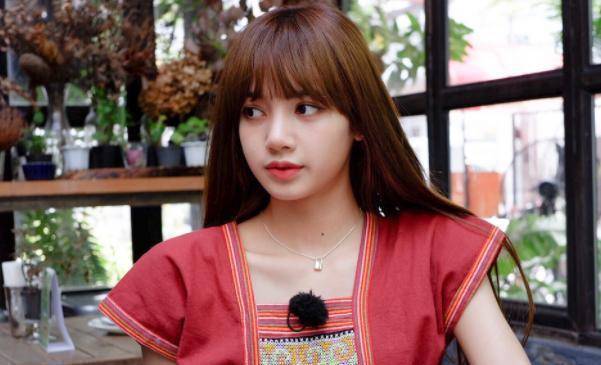 lisa出生在泰国,是泰国籍的歌手和舞蹈演员,后来在yg娱乐接受了5年的