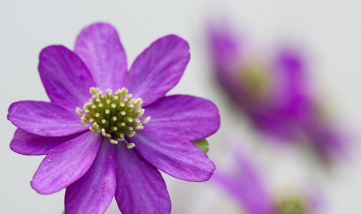 文案,睿智美丽的朋友圈,积极鼓励,欣赏你_生活_时候_人生
