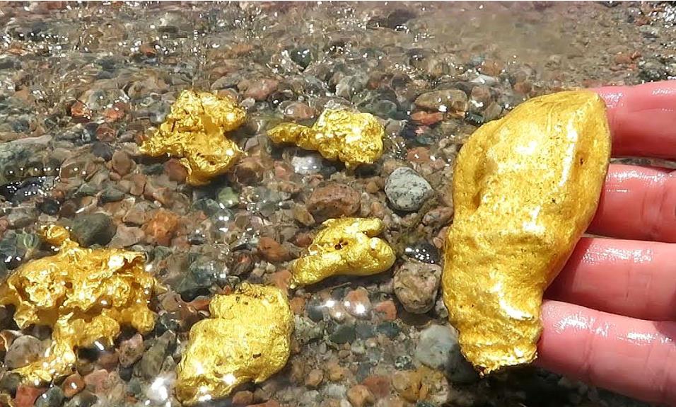 新疆牧民捡到狗头金价值300万,却不交易_因为_地区_矿藏