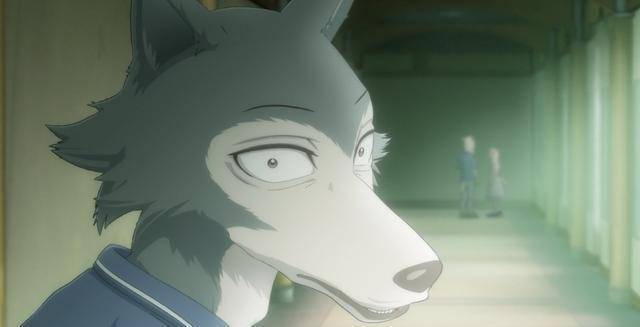 beastars第一季完结,这是部艺术品_动画_橘子_作品