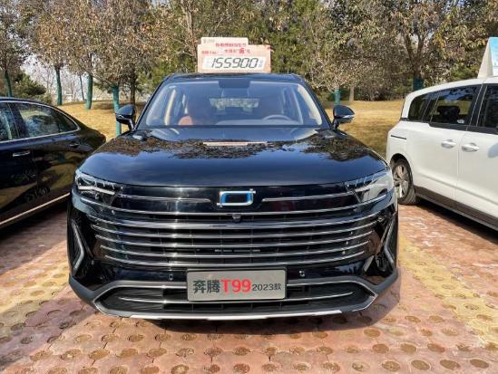 一汽自主品牌(红旗 奔腾)品牌展示活_搜狐汽车_搜狐网