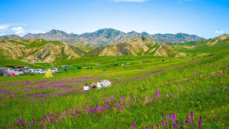 都兰:探索青海的宝藏之地_草原_生活_宁静