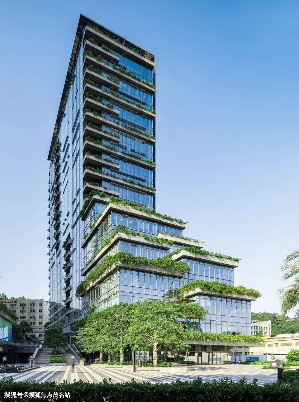 碧桂园凤凰智谷位置在哪?_办公_街道_塔楼