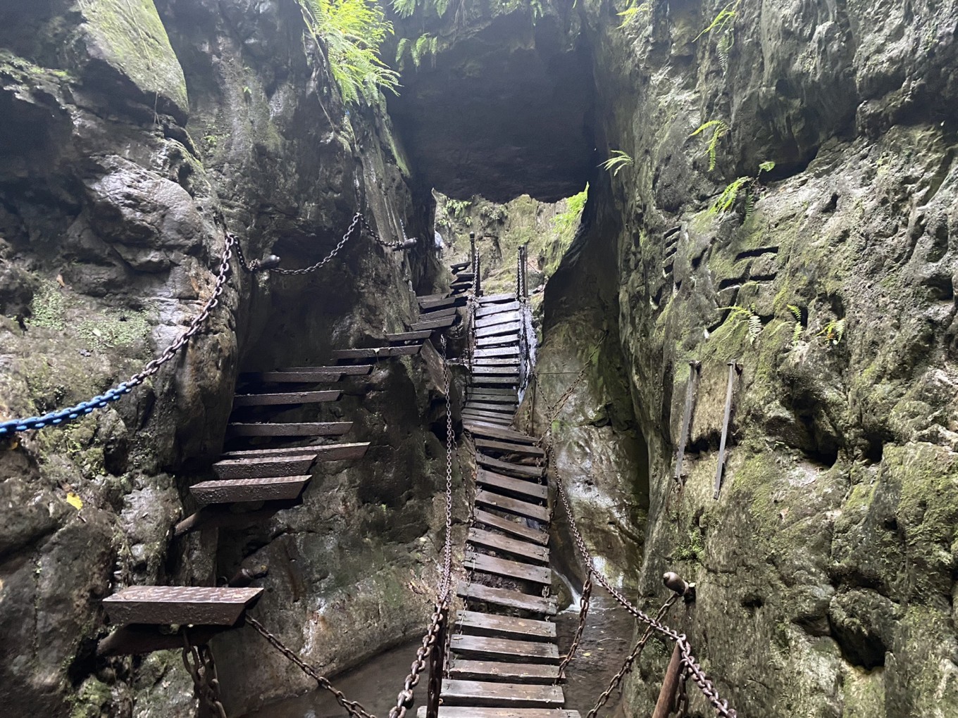 赢在中国杨定国 栖贤谷-介公岭_景区_一线天_谷早