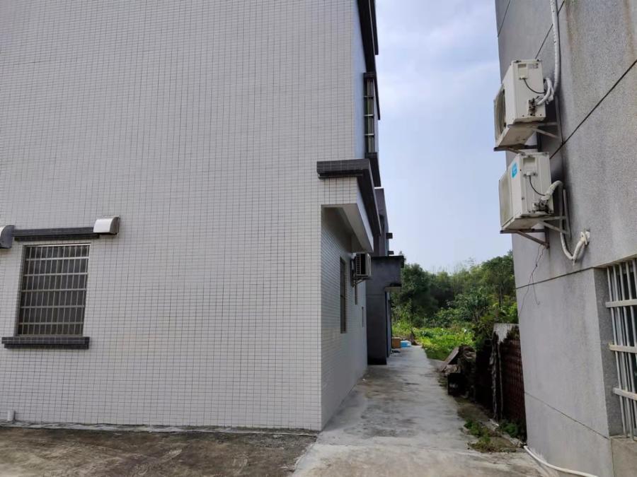 江门恩平市一栋三层独栋豪宅拍卖,不到24万竟没人要_房子_装修_农村