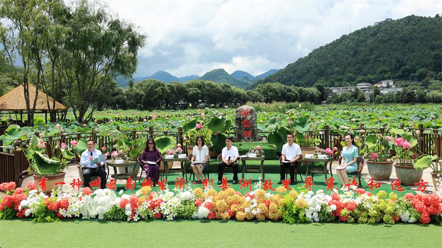 6万亩的国家4a级旅游景区,"首批中国红色地标"善洲林场,白鹇,豹猫,长