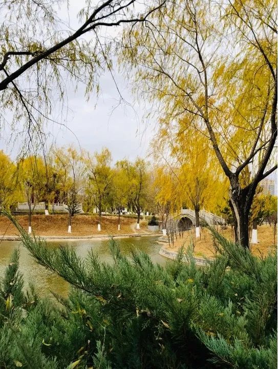 这么近,那么美,周末到河北|④宣化·万柳公园