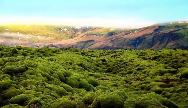 38年品质超越用户期待,海尔空调靠什么?-家电圈官网