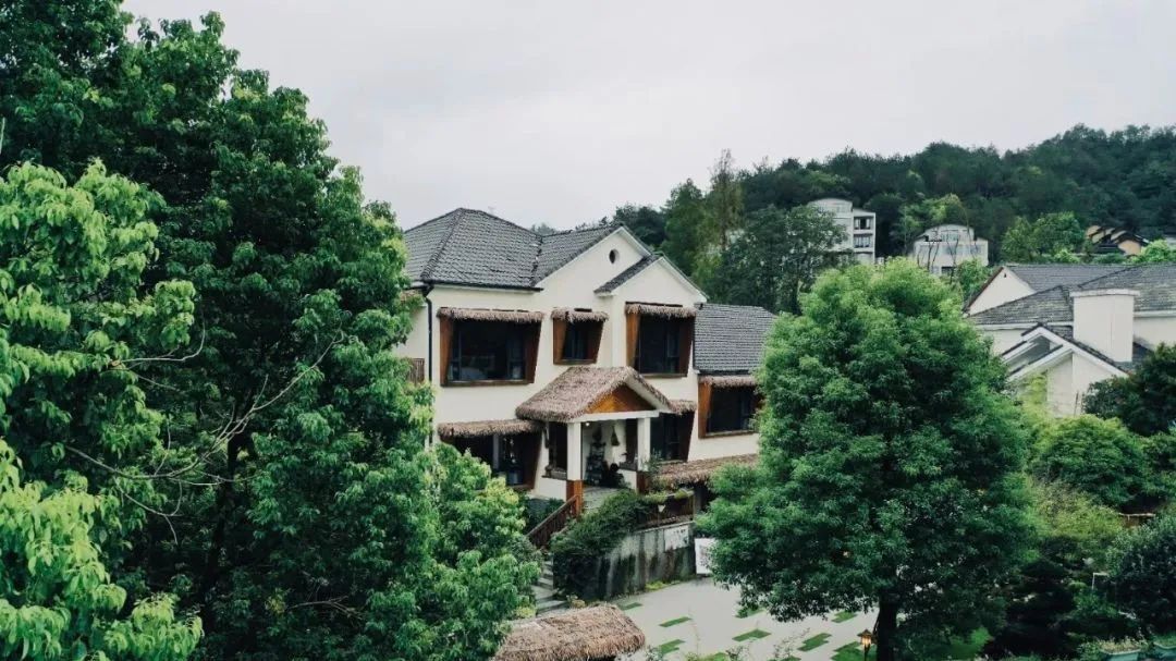 精品民宿,露营基地,咖啡馆,酒吧,茶室,烧烤街应有尽有;从宁静致远的小