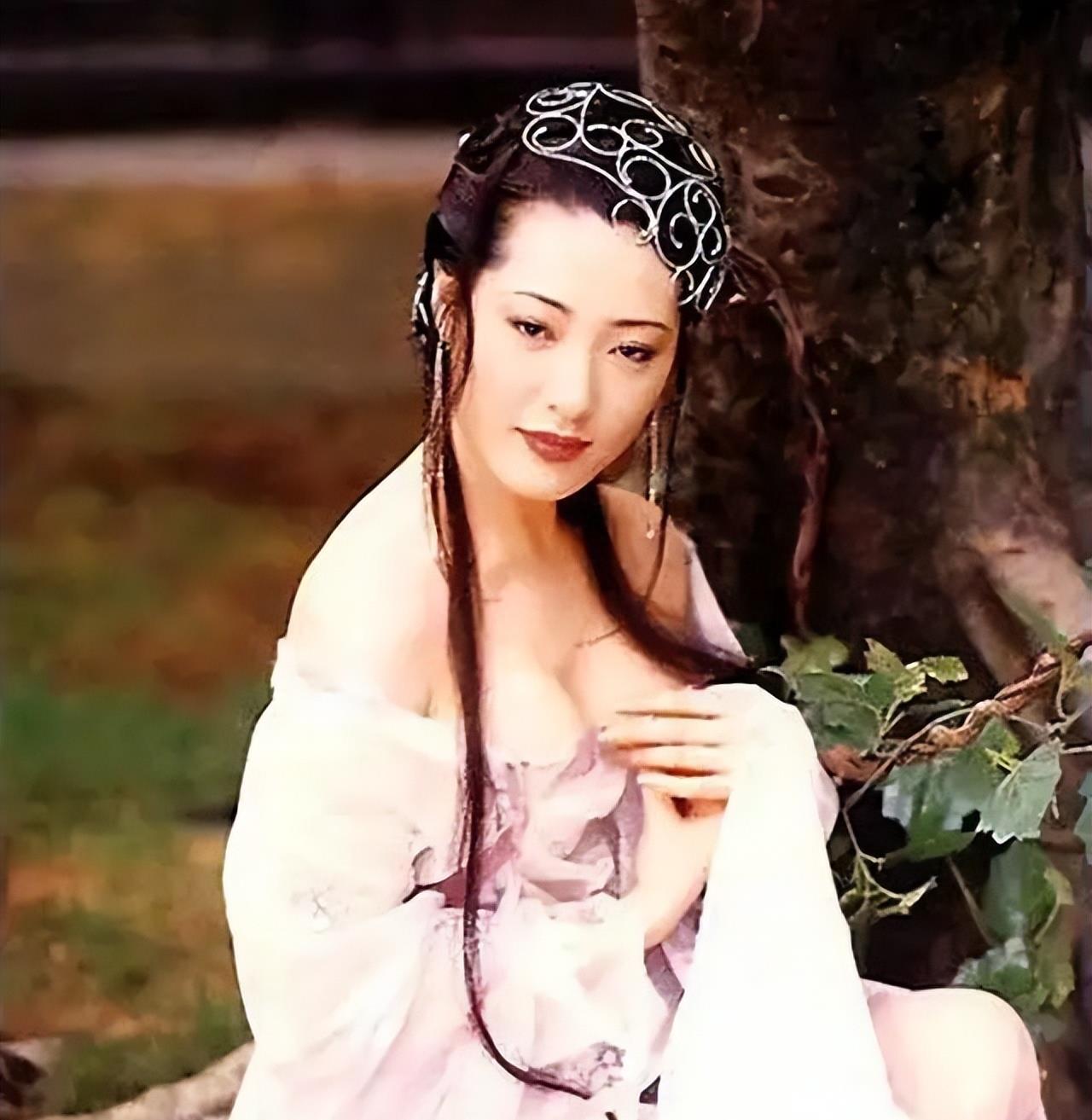 杨思敏版《杨思敏玉壶吟》中的角色