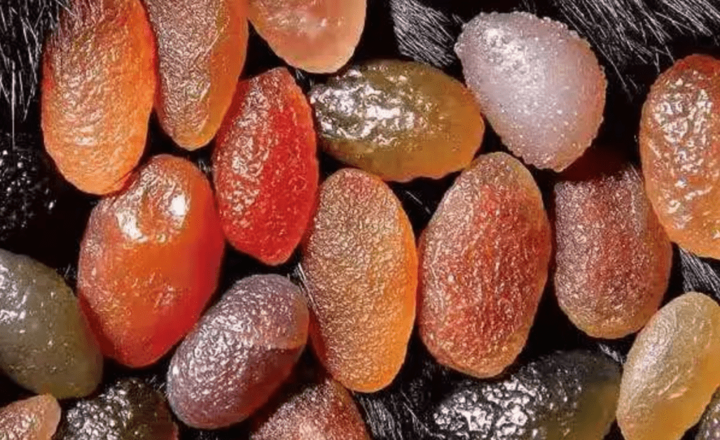 葡萄干玛瑙天然的形态和纹理戈壁玛瑙的珍品甚至能媲美传世名画,如"