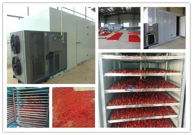辣椒烘烤箱 朝天椒烘干机如何使用_时间_温度_的设备