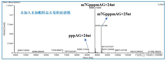 mRNA加帽率检测分析服务