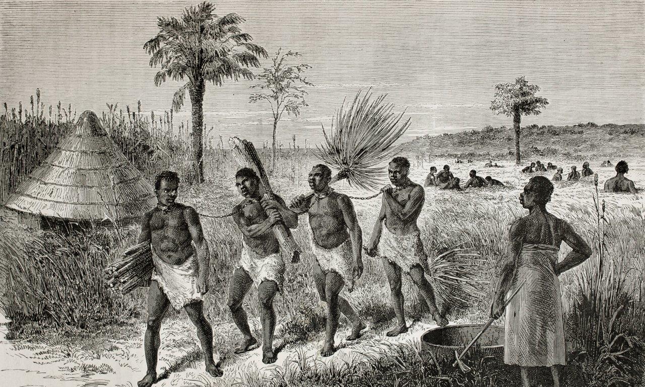 黑奴船上面的悲剧:男性被关进船舱,女性在甲板上惨叫_贸易_殖民_白人