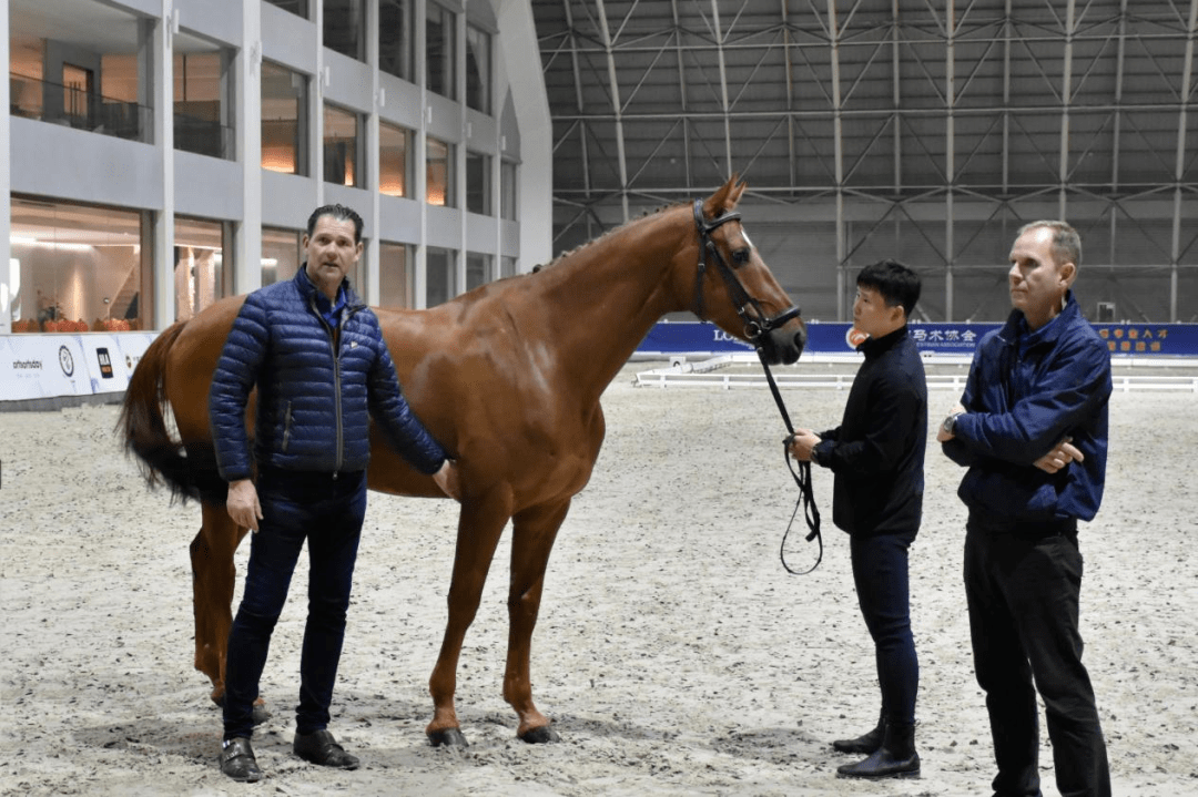 中国首批高星级马术教练公布_培训_训练_北京奥运会