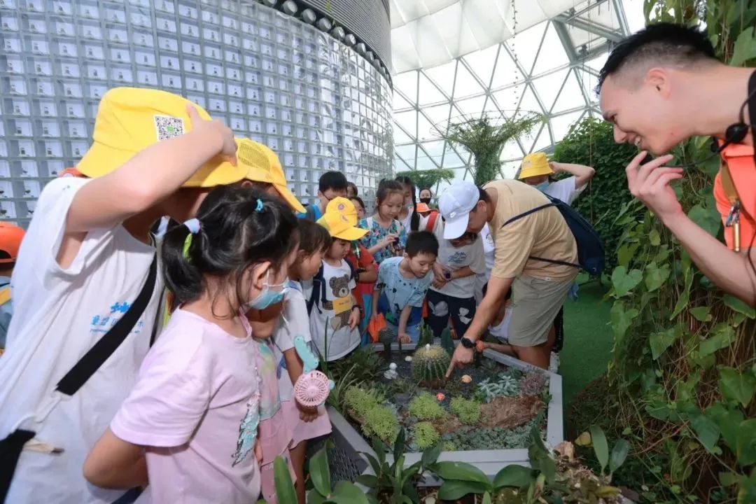 種太空種子是什麼體驗?走進航新種子谷,探索航天育種_活動_勞動_種植