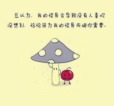 特别有哲理的一段话，搞笑又经典（值得收藏）